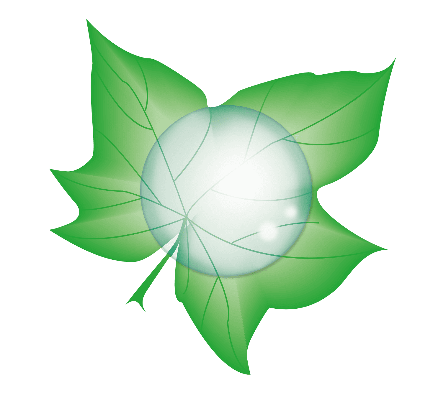 Service de nettoyage professionnel